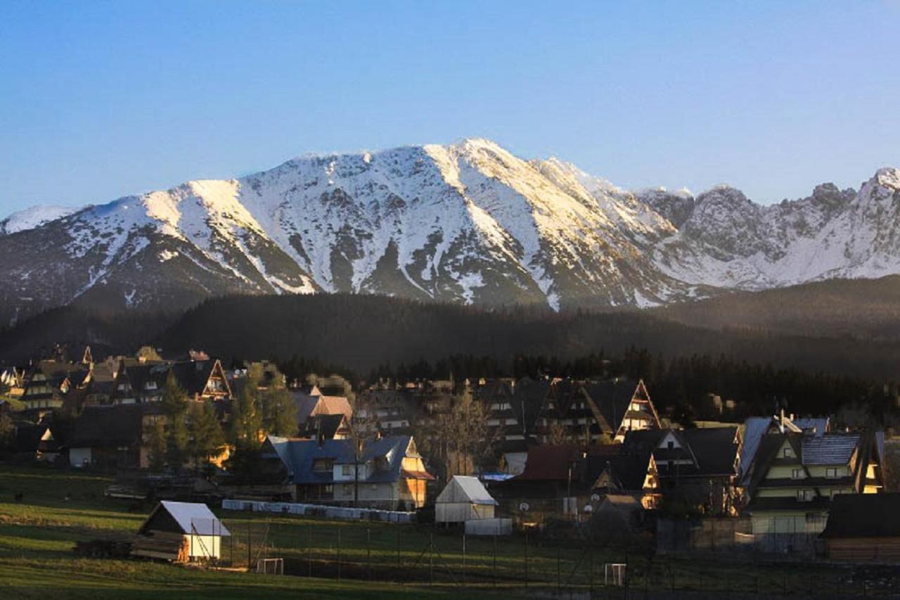 Domki U Wilka Poronin Exterior foto